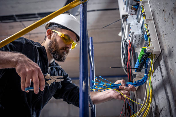 Best Electric Panel Repair  in Lewisburg, WV
