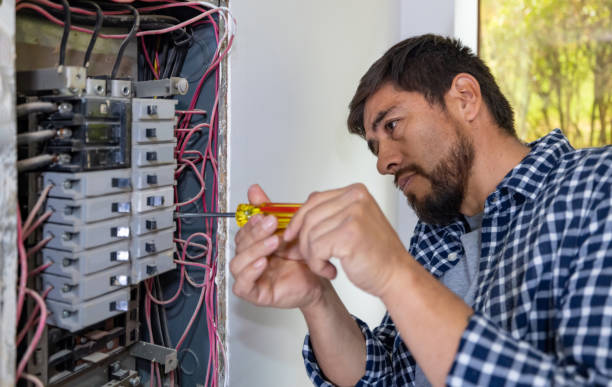 Best Ceiling Fan Installation Electrician  in Lewisburg, WV